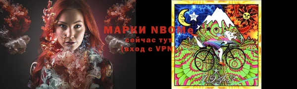 твердый Гусь-Хрустальный