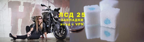 дживик Гусев