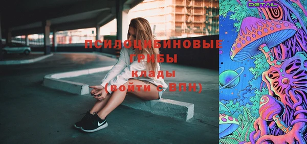 твердый Гусь-Хрустальный