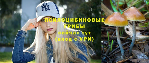 таблы Гусиноозёрск