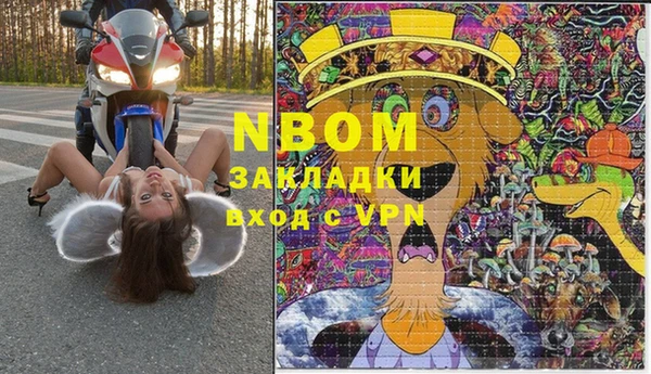 твердый Гусь-Хрустальный