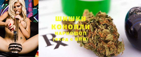 дживик Гусев