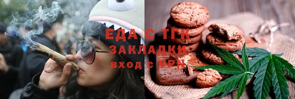 гашик Дмитровск