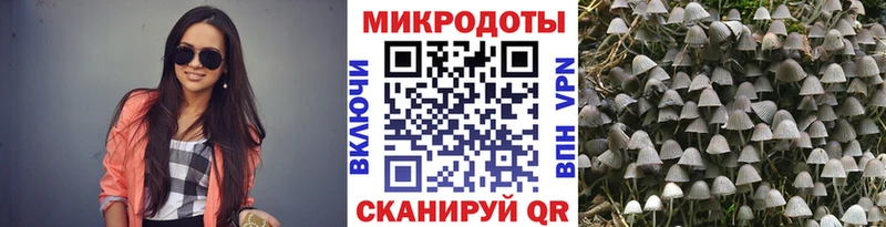 Галлюциногенные грибы Magic Shrooms Кондопога