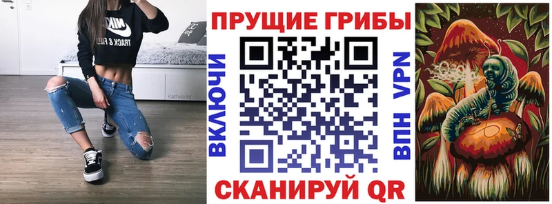 Галлюциногенные грибы Cubensis  Купить закладки  Кондопога 